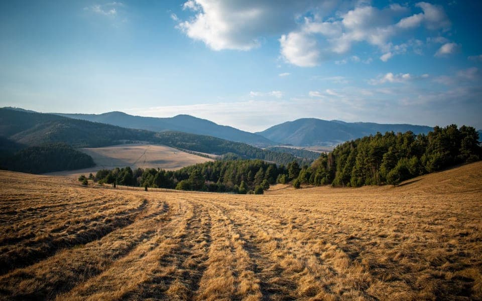 Paysage de collines et de forêts près de Víťaz, en Slovaquie